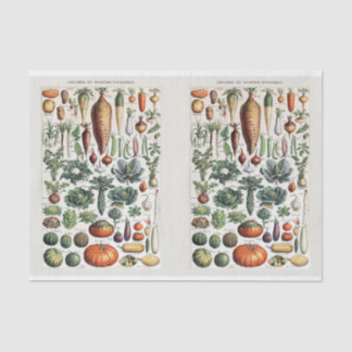 Papier Mousseline Illustrations Millot, Légumes de jardin, Découpage