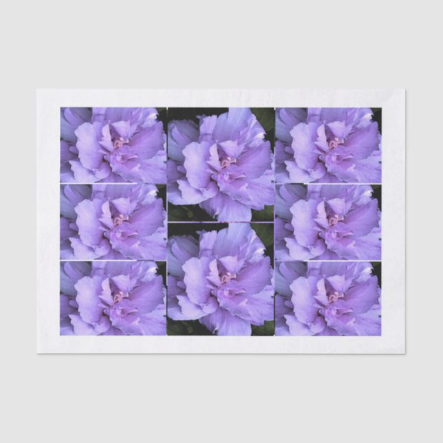 Papier Mousseline Images multi roses de Sharon de lavande (Recto)