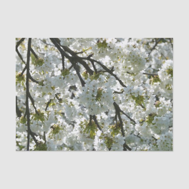 Papier Mousseline Inspirations naturelles Fleurs de cerisiers (Recto)