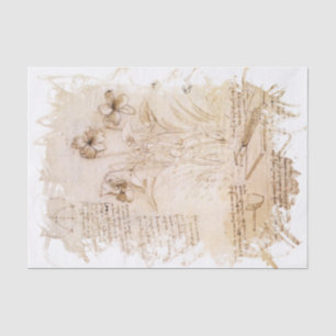 Papier Mousseline Inspiré par Léonard de Vinci