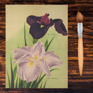 Papier Mousseline Iris d'eau japonais Catalogue botanique vintage