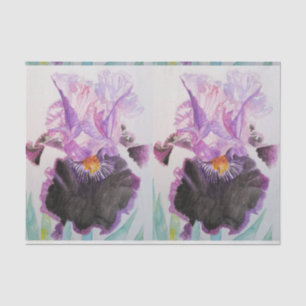 Papier Mousseline Iris Irises Purple Aquarelle Florale Fleur