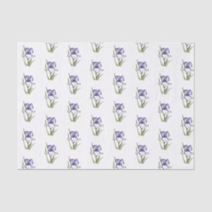 Papier Mousseline Iris pourpre rouillé