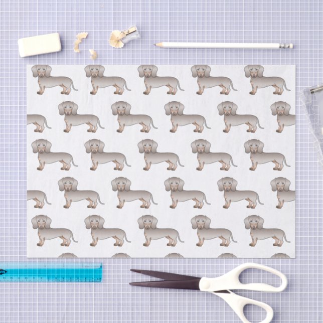 Papier Mousseline Isabella Et Tan Smooth Coat Dachshund Chien Motif (Artisanat)
