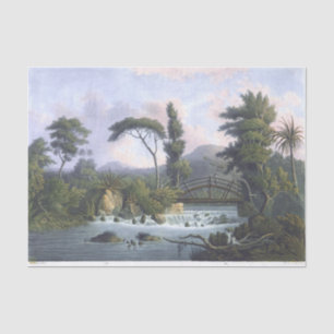 Papier Mousseline Jamaïque Cabarita River Westmoreland