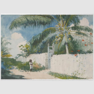 Papier Mousseline Jardin à Nassau (capitale des Bahamas)