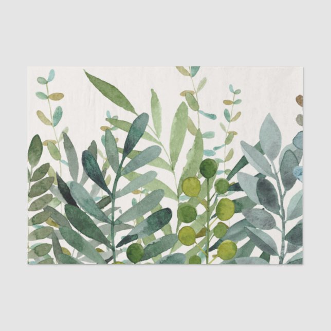 Papier Mousseline Jardin-Aquarelle Feuilles botaniques  (Recto)