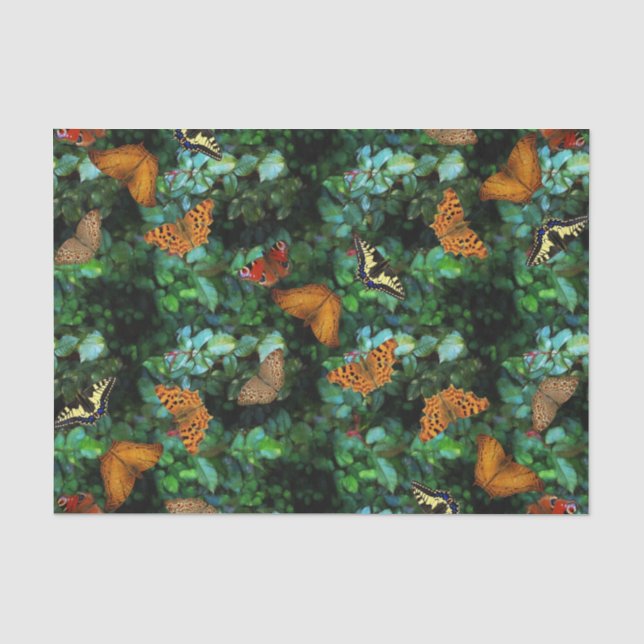 Papier Mousseline Jardin de papillon (Recto)