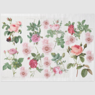 Papier Mousseline Jardin rose