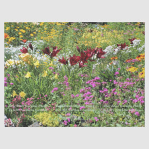 Papier Mousseline Jardins colorés de la mi-été !