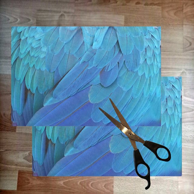 Papier Mousseline Je suis bleu - plumes de perroquet près (Créateur téléchargé)