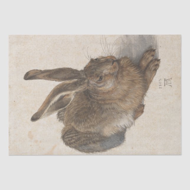 Papier Mousseline Jeune lièvre d'Albrecht Durer (Recto)