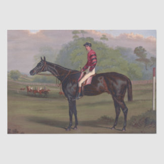 Papier Mousseline Jockey sur hippocampe