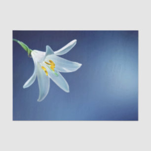 Papier Mousseline Joli blanc Lily photo florale