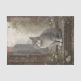 Papier Mousseline Joli chat Kitty Grey