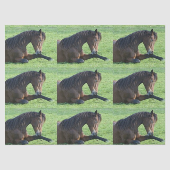 Papier Mousseline Joli cheval Brown allongé dans l'herbe (Recto)