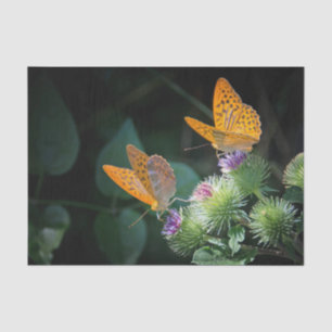 Papier Mousseline Joli papillon orange photo florale