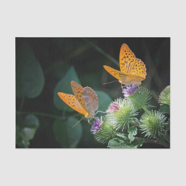 Papier Mousseline Joli papillon orange photo florale (Recto)