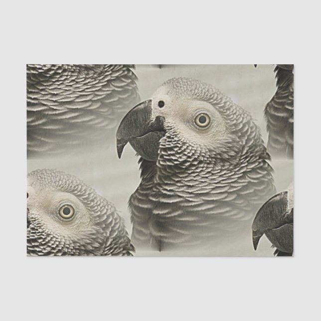 Papier Mousseline Joli perroquet gris du Congo (Recto)
