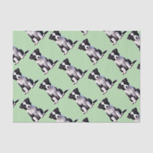 Papier Mousseline Jolie Bordure Collie Puppy