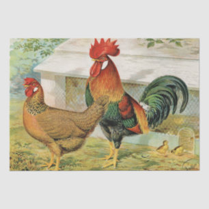 Papier Mousseline Jolie fête de coq et poule vintage