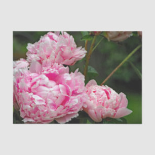 Papier Mousseline Jolie pivoines roses Photo florale