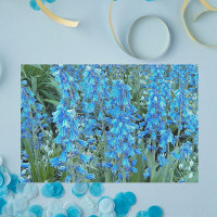 Jolies fleurs bleues Florales