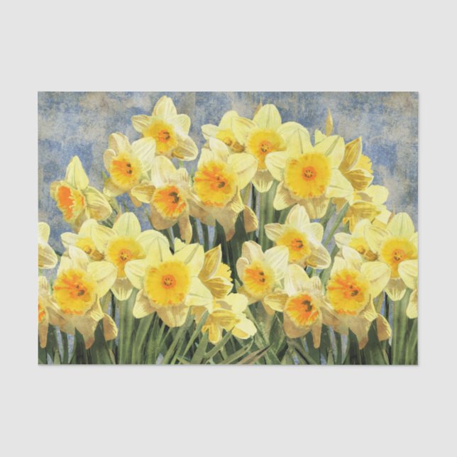 Papier Mousseline Jonquilles jaunes de ressort rustiques (Recto)