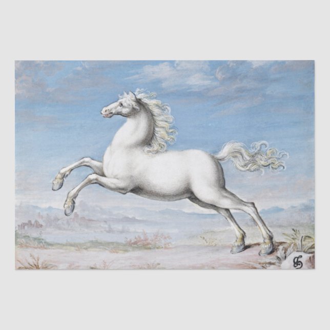 Papier Mousseline Joris Hoefnagel | Cheval Blanc - 1552 et 1601 (Recto)