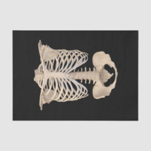 Papier Mousseline Jour des Dead Rib Cage Skeleton Halloween Party