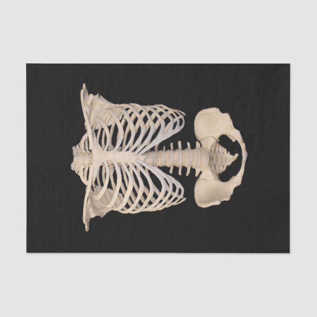 Papier Mousseline Jour des Dead Rib Cage Skeleton Halloween Party (Recto)