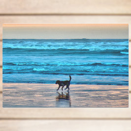 Papier Mousseline Joyeux chien et réflexion sur la plage au coucher