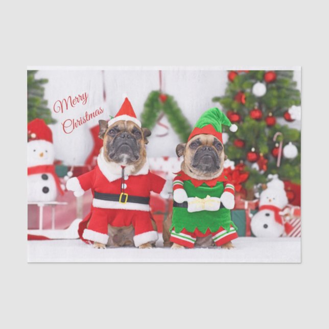 Papier Mousseline Joyeux Noël Bulldogs français Père Noël et Elf (Recto)