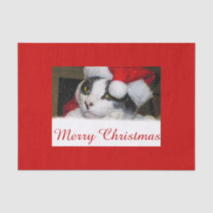 Papier Mousseline Joyeux Noël - Chat en Vêtements du Père Noël