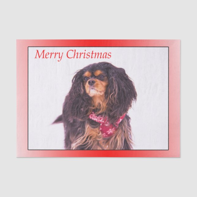 Papier Mousseline Joyeux Noël noir Tan Cavalier King Charles (Recto)