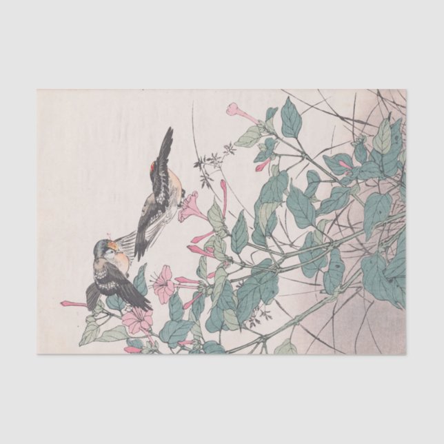 Papier Mousseline Keinen Kachō Gafu, Pl.23 par Imao Keinen (Recto)