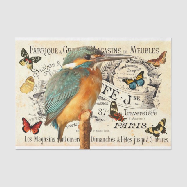 Papier Mousseline Kingfisher & Papillons Vieux-Français Annonce Déco (Recto)