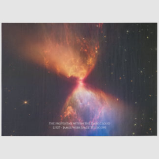 Papier Mousseline L1527 et Protostar - Télescope spatial James Webb
