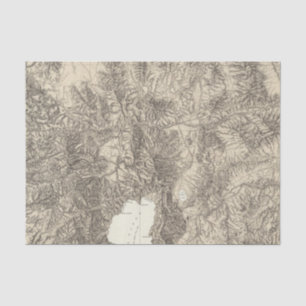 Papier Mousseline La Californie et le Nevada