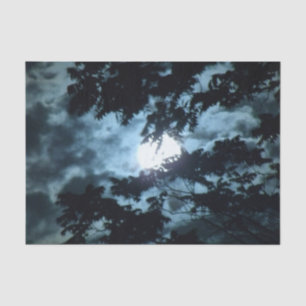 Papier Mousseline La lune illumine la nuit derrière des branches