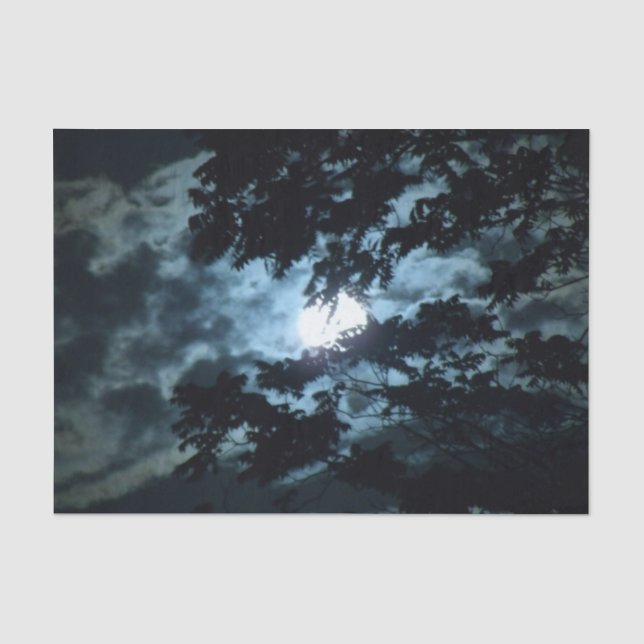 Papier Mousseline La Lune illumine la nuit derrière les branches des (Recto)