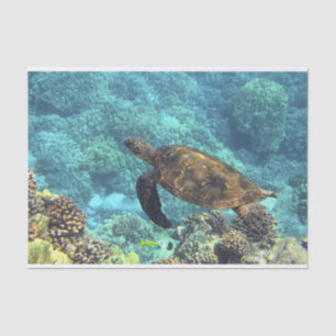 Papier Mousseline La tortue de mer dans l'océan bleu