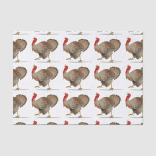 Papier Mousseline La Turquie
