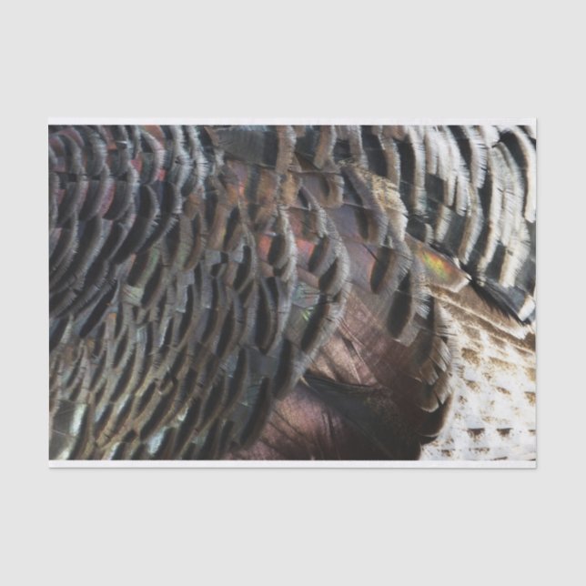 Papier Mousseline La Turquie sauvage Plumes I Abstrait Nature Design (Recto)