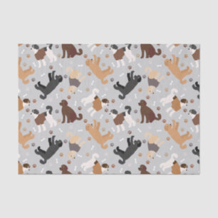 Papier Mousseline Labradoodle / Os et pattes Goldendoodle