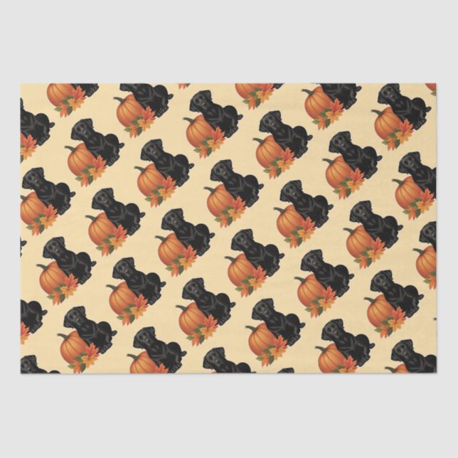 Papier Mousseline Labrador Noir avec feuilles d'automne et Citrouill (Recto)