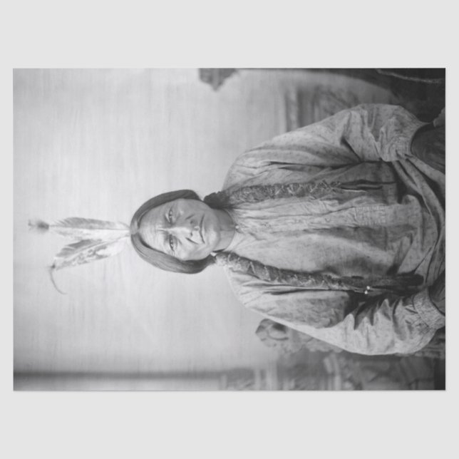 Papier Mousseline Lakota Leader assis Bull Amérindien (Recto)