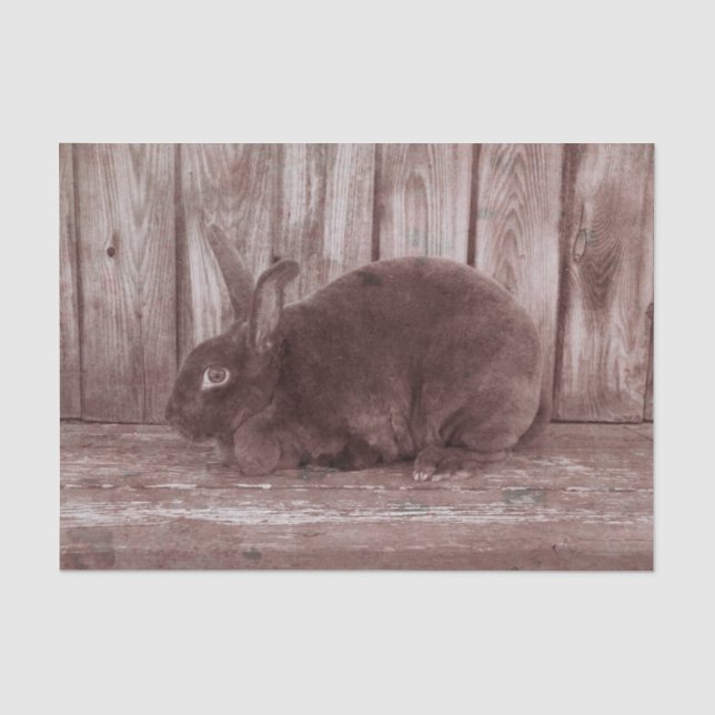 Papier Mousseline Lapin de Pâques Brun Vintage (Recto)