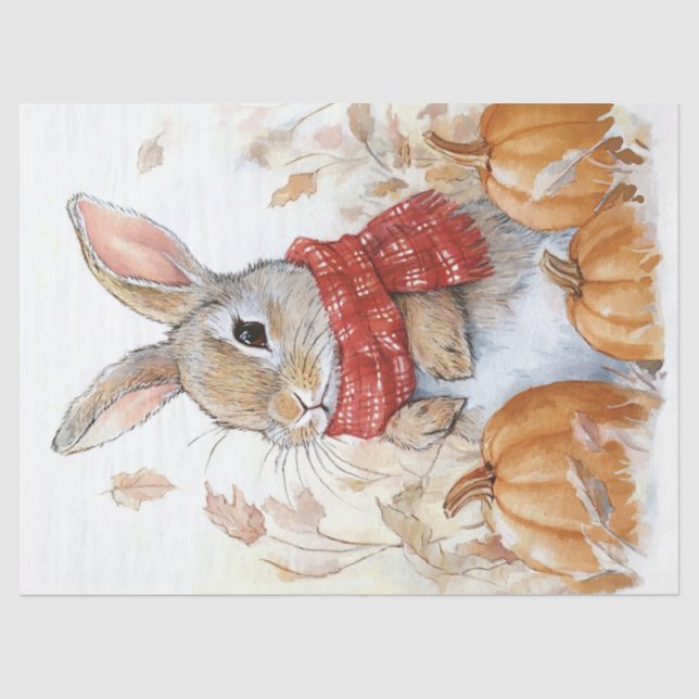 Papier Mousseline Lapin Lapin Automne Citrouille Illustration (Recto)