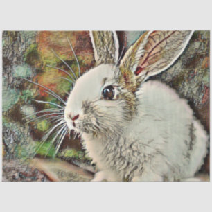 Papier Mousseline lapin toony